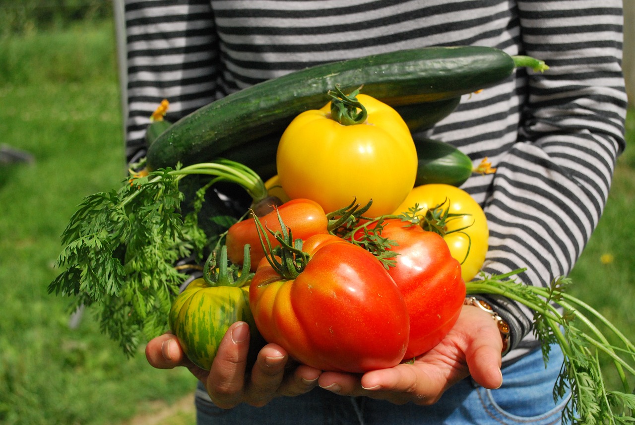 Przepisy na pikle i marynaty do warzyw – pyszne dodatki do dań